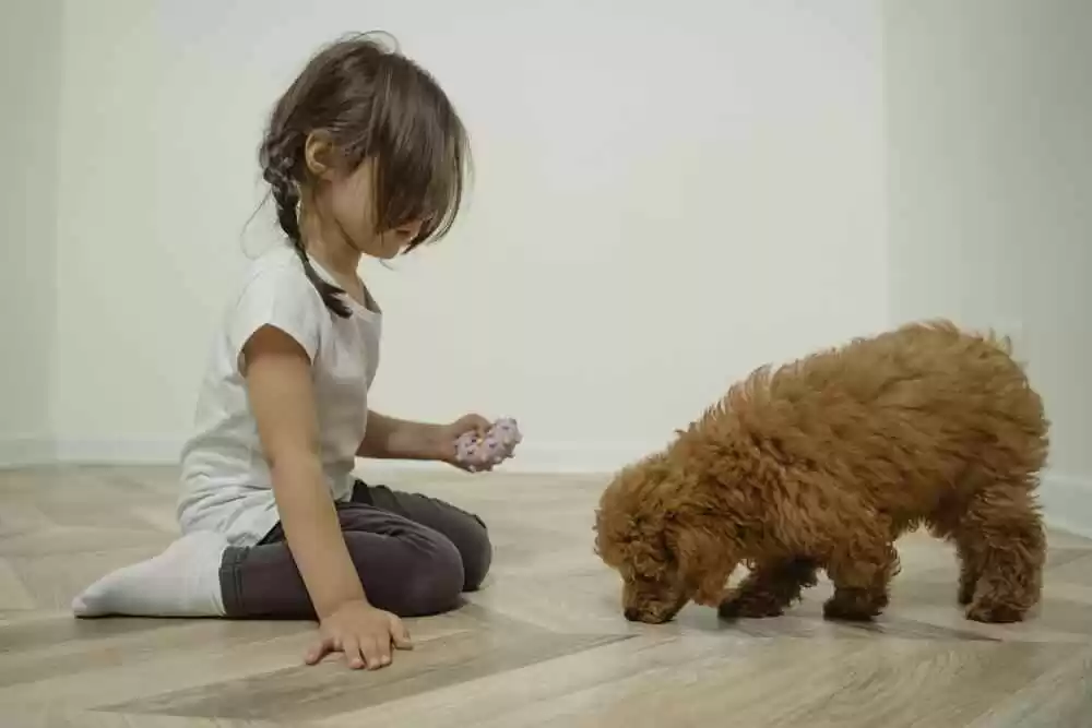 Best Dog Breeds for Kids