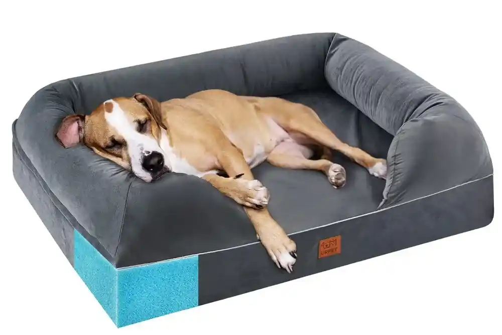 Bolster Dog Beds