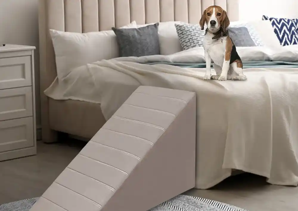 Dog Ramp