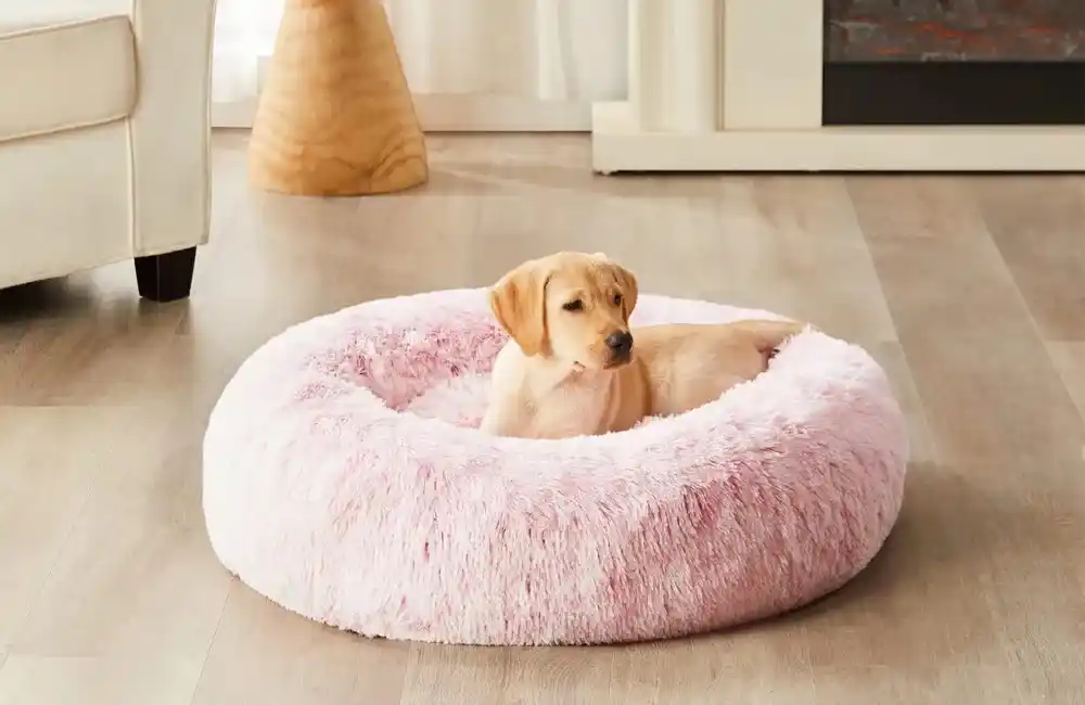 Donut Dog Beds