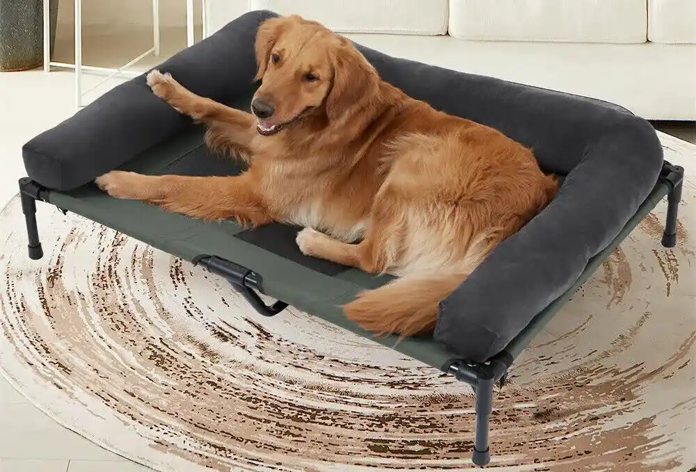 Elevated Dog Beds