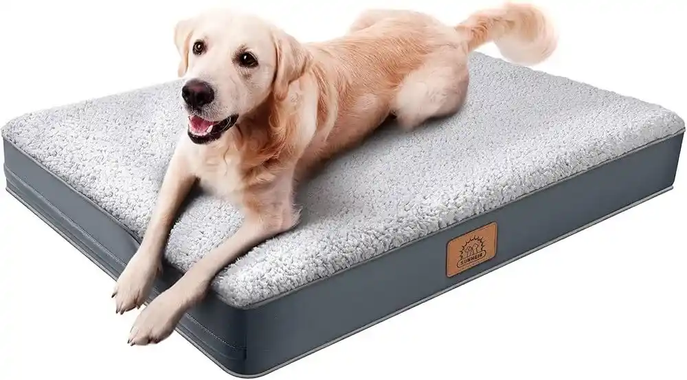 Orthopedic Dog Beds