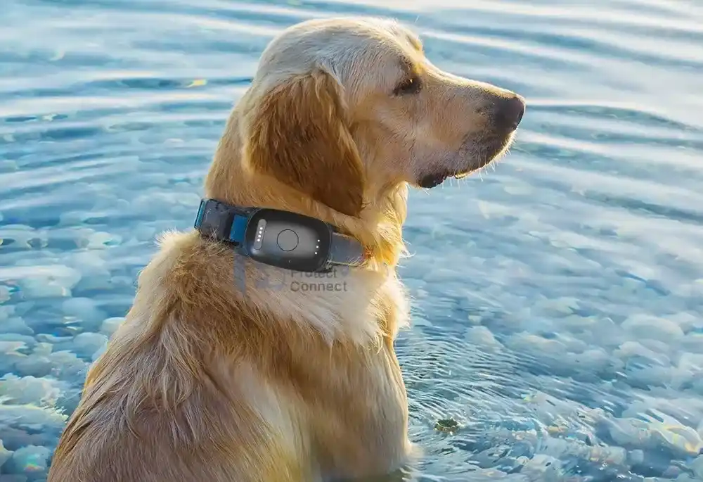 GPS Dog Collar