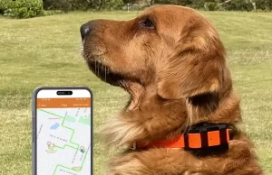 GPS Dog Collar
