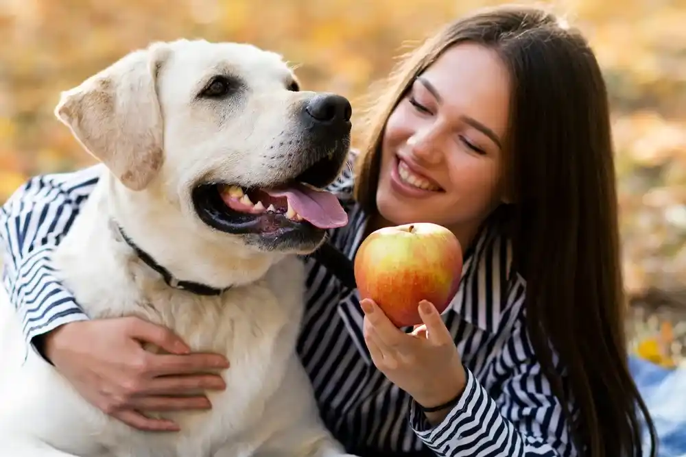 What Fruits Can Dogs Eat