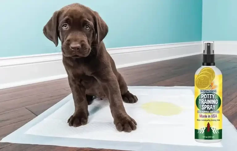 Puppy Potty Training Spray