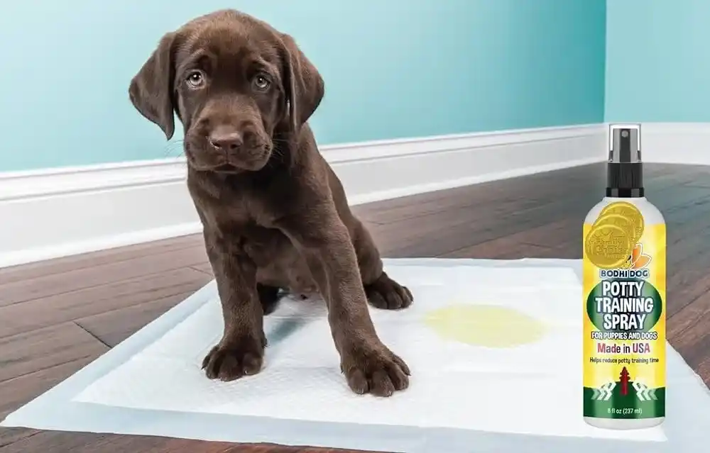 Puppy Potty Training Spray