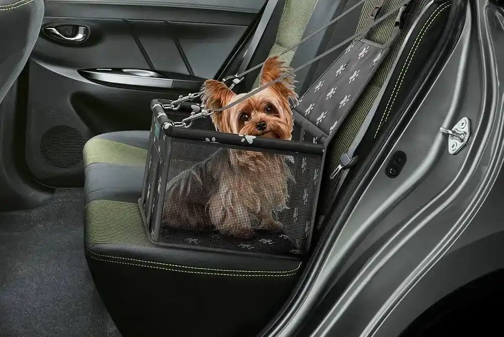 Dog Car Seat