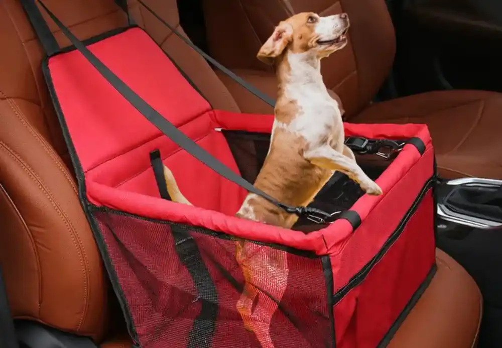 Dog Car Seat