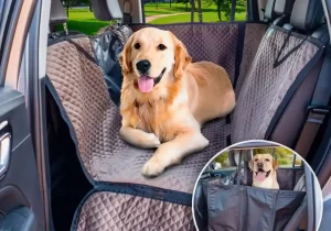 Dog Car Seat