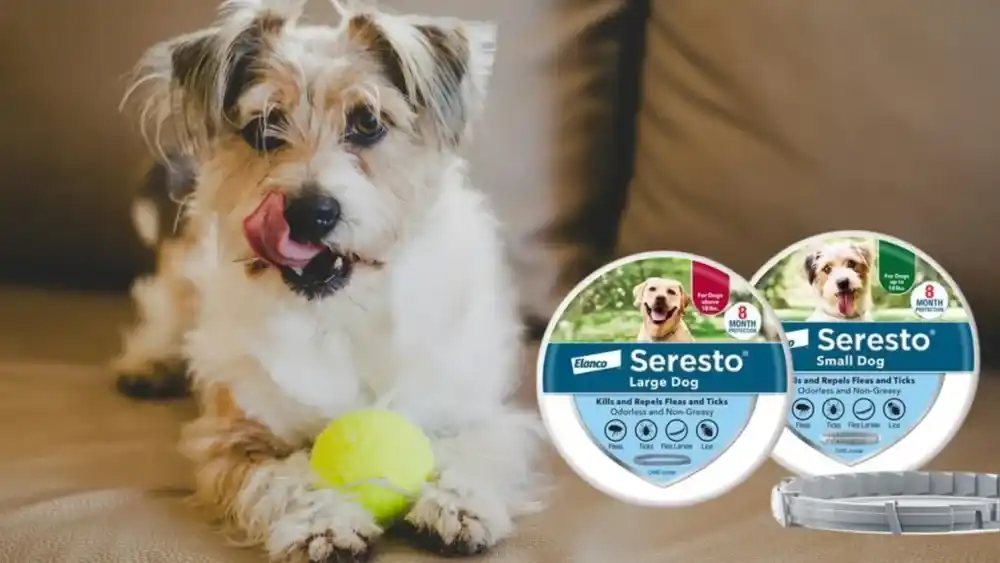 Seresto Collar