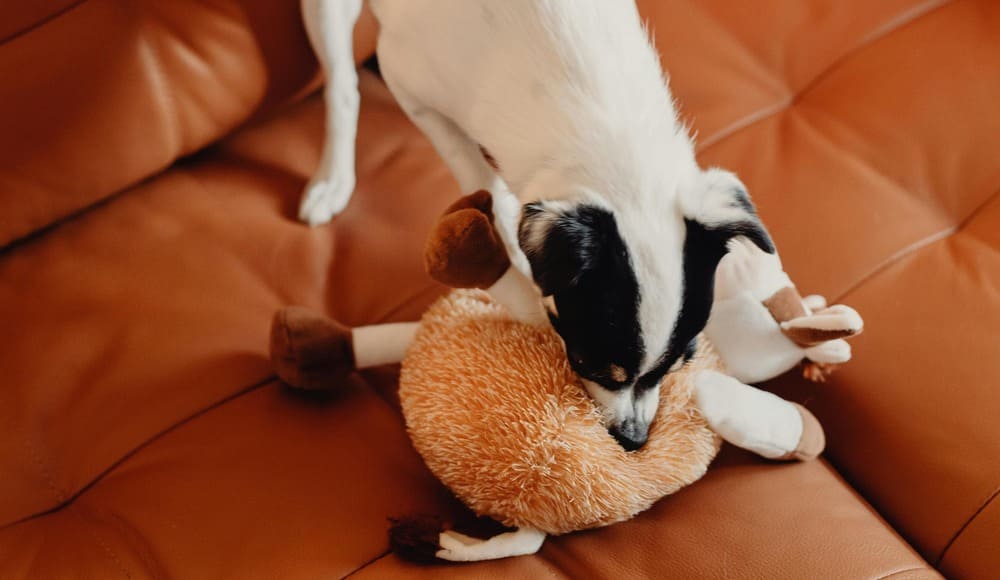 Dog Toys for Dogs Home Alone