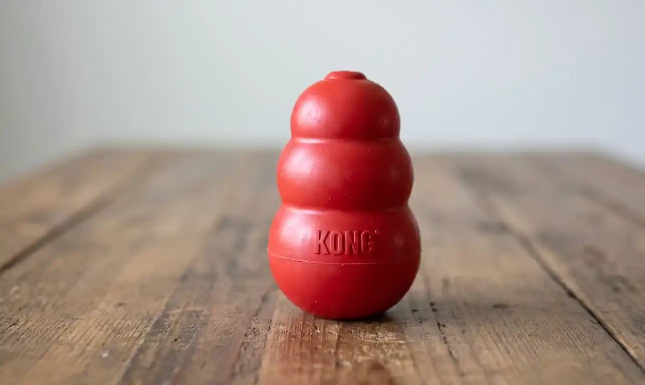 KONG Classic Dog Toy
