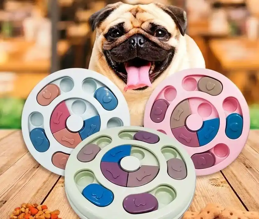 Interactive Puzzle Toys