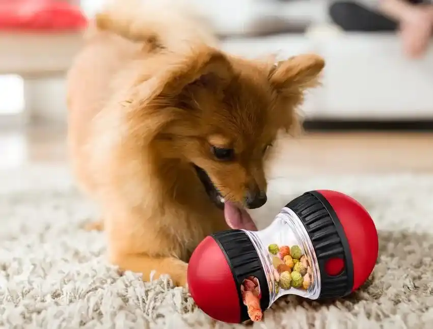 Best Dog Toys for Heavy Chewers Under $20
