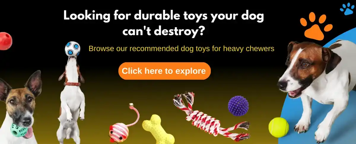 Dog toys