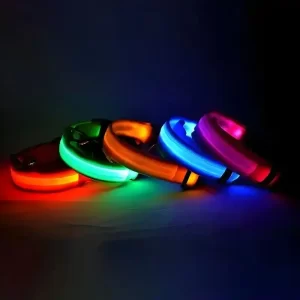 LED dog collar