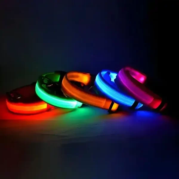 LED dog collar