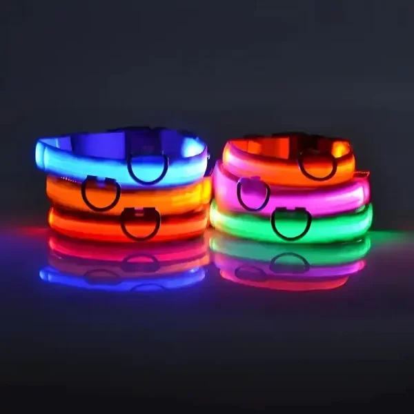 LED dog collar