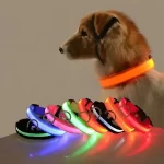 LED dog collar