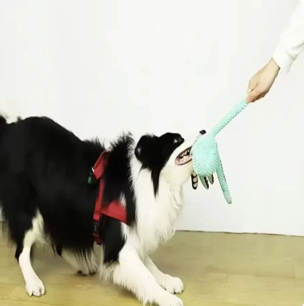 plush octopus dog toy