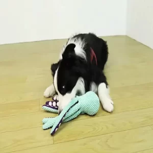 plush octopus dog toy