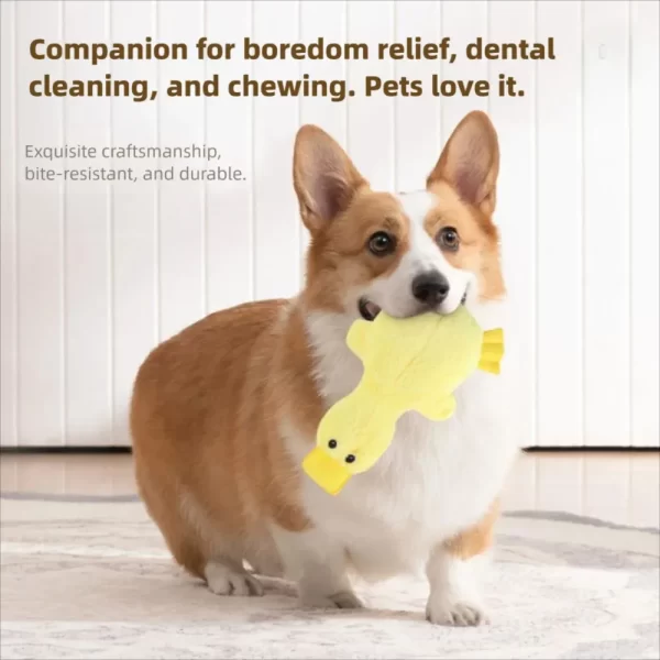 Plush Duck Dog Toy