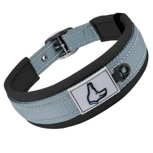 Reflective Padded Dog Collar