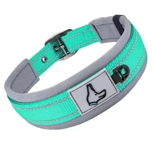 Reflective Padded Dog Collar