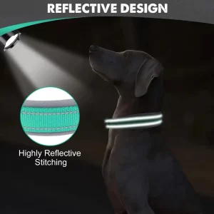 Reflective Padded Dog Collar