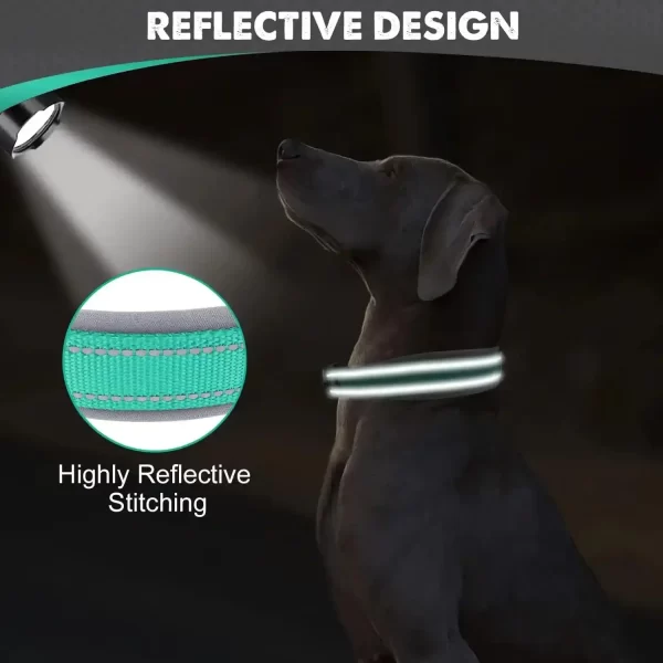 Reflective Padded Dog Collar