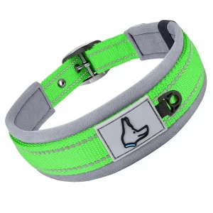 Reflective Padded Dog Collar