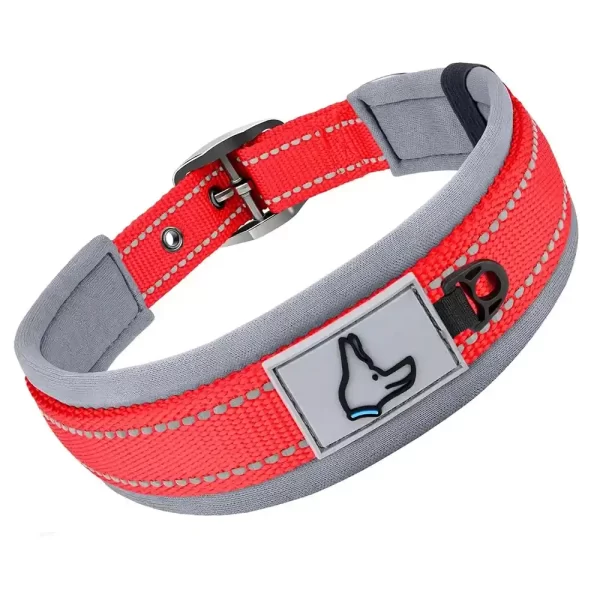 Reflective Padded Dog Collar