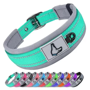 Reflective Padded Dog Collar