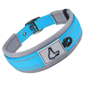 Reflective Padded Dog Collar
