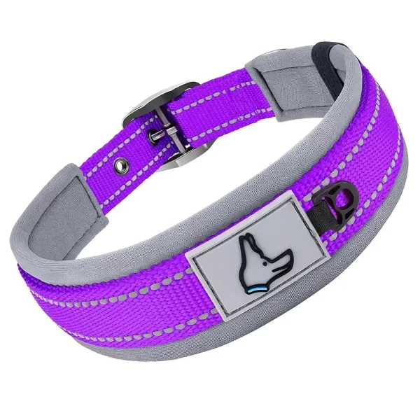 Reflective Padded Dog Collar