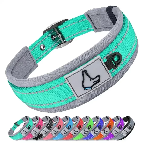 Reflective Padded Dog Collar Reflective Padded Dog Collar