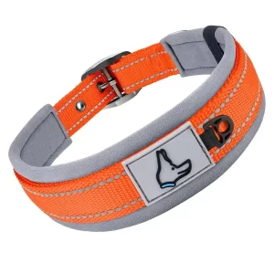 Reflective Padded Dog Collar