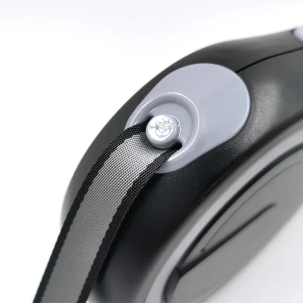 Retractable dog leash