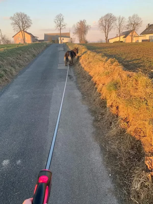Retractable dog leash
