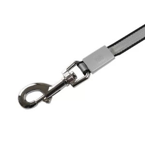 Retractable dog leash