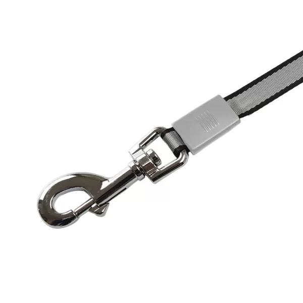 Retractable dog leash