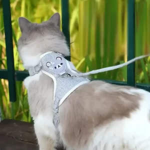 Soft Dog Harness & Leash Set – Small Dogs
