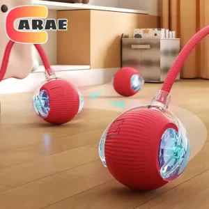 interactive cat ball toy