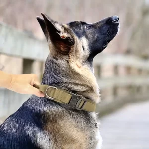 Tactical dog collar
