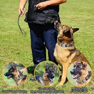 Tactical dog collar