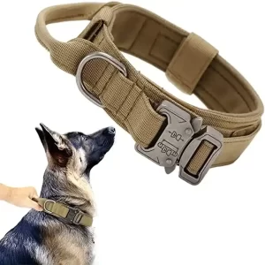 Tactical dog collar