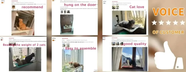 Cat Window Hammock