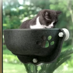 cat win dow ham mock bed