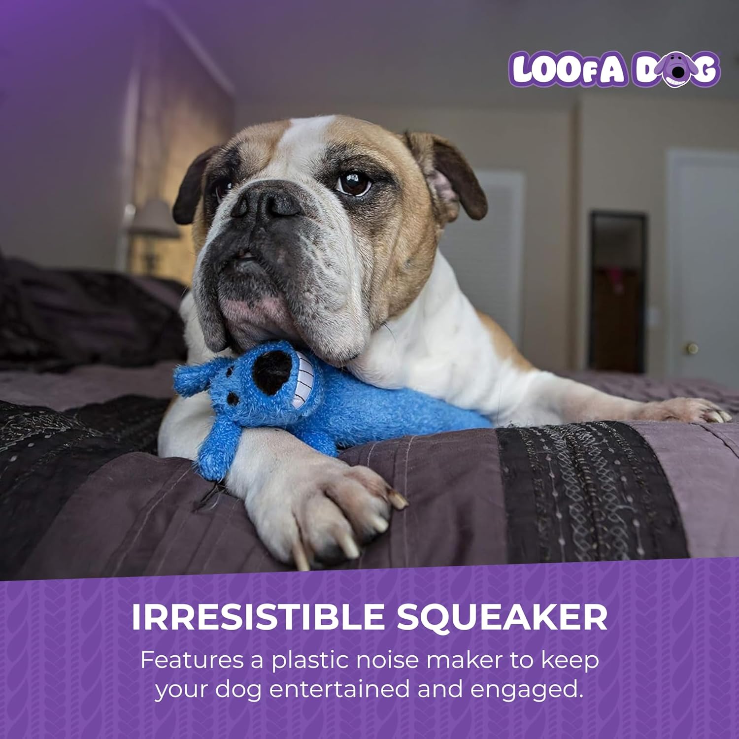 Squeaky Plush Loofa Dog Toy 6 Inch for Small Breeds, Assorted Colors - Image 5